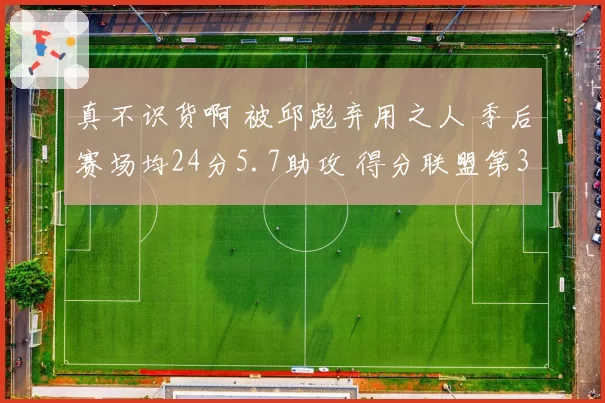 真不识货啊 被邱彪弃用之人 季后赛场均24分5.7助攻 得分联盟第3