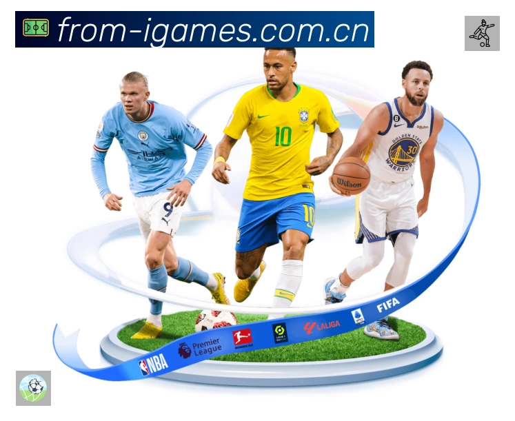 结构优化认证展示